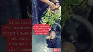 Miniature : 🚨 Ce jour, dans le RER, une maman africaine décortiquait tranquillement des feuilles