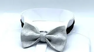 Miniature : Bow Tie Tom