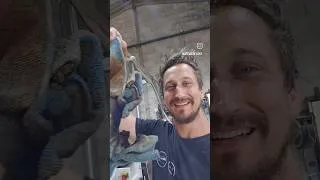 Miniature : l'huile de lin peut détruire votre atelier voire votre vie ...