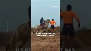 Miniature : INSOLITE : Un trail interrompu par des locaux furieux !
