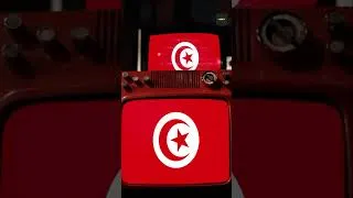 Miniature : La Tunisie va-t-elle couper le gaz algérien à l’Europe ? La crise du Transmed explose !