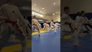Miniature : Training Taekwondo #attrainingfit #martialarts #sports #shorts #taekwondo #tkd #karate #poomsae