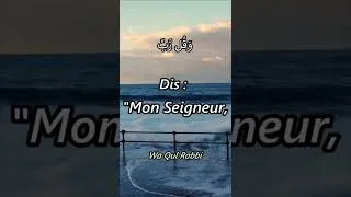Miniature : Sourate Al-Muminoun 97-98 #coran #sourate #islamic