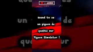 Miniature : 🎮 ~ QUAND TU ES UN PIGEON DE QUALITÉ SUR PIGEON SIMULATOR ! #shorts #pigeonsimulator