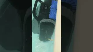 Miniature : MOVA A10 Diver ! 7 modes de nettoyage à -600€ !