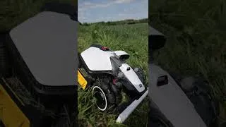 Miniature : Luba Mini 2 de Mammotion ! On a testé ! #lubamini2 #mammotion