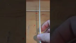 Miniature : A venir : deux vidéos consacrées à des wagglers.