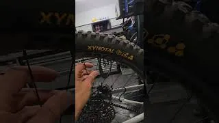 Miniature : Combien pése rellement min Amflow px carbon pro ?       #amflow #ebike #emtb