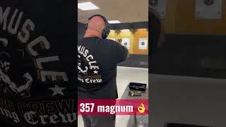 Miniature : Session tir au 357magnum