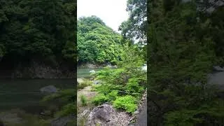 Miniature : 🇯🇵 Kyoto Secret | Arashiyama en 4K 🌿