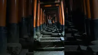 Miniature : 🌙 Fushimi Inari la NUIT… Kyoto devient irréel 🇯🇵