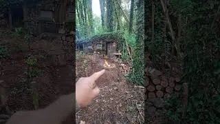 Miniature : ma petite maison dans les bois ! 😍👌 #autonomie #nature