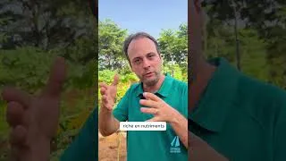 Miniature : Découvrez le dispositif d'irrigation de l'aire de repos de Thiaroye! | Autoroute de l'Avenir