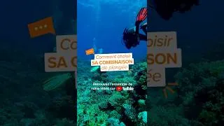 Miniature : Combinaison de plongée : quelle épaisseur choisir ?
