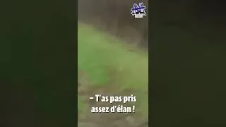 Miniature : Trois cerfs pris au piège par la chasse à courre !