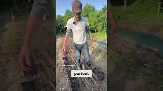 Miniature : semis #carottes #panais #radis. Optimiser l'espace #permaculture
