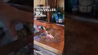Miniature : Chaqur année, un cochon de plein air et bio nous donne sa vie pour nourrir notre famille.