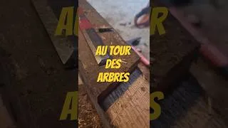 Miniature : Not' week-end Au Tour des Arbres arrive, on vous attend #permaculture #agroforesterie #ecopaturage