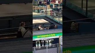 Miniature : Système de transport public à Perth : efficace ou pas?