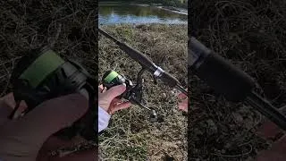 Miniature : La vidéo complète 👆 #fishing #fish