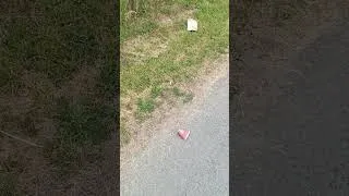 Miniature : Merci l'UE