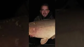 Miniature : Extrait de l'Ultra Fishabil avec Alexis FARFAL et Julien Filleul. #shorts  #avidcarp
