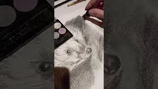 Miniature : Dessin hérisson au charbon de bois et maquillage - AvnesZ