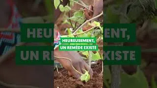 Miniature : Cultivons notre santé !