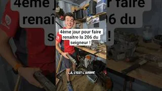 Miniature : 4ème jour pour faire renaître la 206 du seigneur !