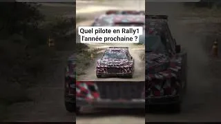 Miniature : Quel pilote en Rally1 l'année prochaine ?