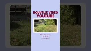 Miniature : Une nouvelle vidéo toutes les 2 semaines ✨ Abonnez-vous 👉🏼👈🏼 #youtube #Vlog #montagevideo