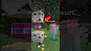 Miniature : J'ai Caché une TNT SURPUISSANTE dans mon MONDE MINECRAFT !