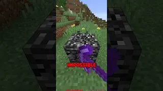 Miniature : J'ai TUÉ un Enderman Avec une FLÈCHE..