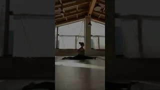 Miniature : La pratique avancée en yoga