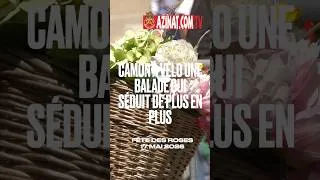 Miniature : Camon à vélo une balade qui séduit #ariège #velo #tourism