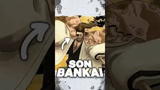 Miniature : le BANKAI de Shunsui Kyoraku EXPLIQUÉ #bleach #anime #bankai