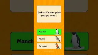 Miniature : Charge ton cerveau avec des informations utiles ! #jeux #quiz