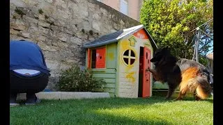 Miniature : Boom joue à cache cache