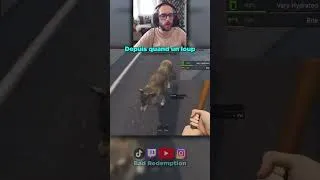 Miniature : La faune de ce jeu est complètement folle 🐺🎇