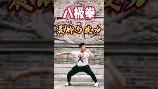Miniature : How NOT to stomp in Baji Quan (Sub Fr-Eng)