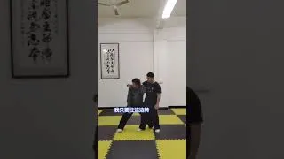 Miniature : Baji Quan "Hui tou" application explained by Mr Tang Qiang (sub Fr-Eng)