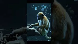 Miniature : Le paradoxe du singe savant