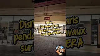 Miniature : Comment venir à Disneyland Paris pendant les travaux sur la ligne RER A.