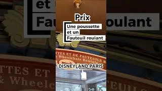 Miniature : Tarif location de poussette et fauteuil roulant à Disneyland Paris !