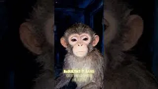 Miniature : L'hormone du bonheur… produite naturellement à 2h du mat 🧠🍌