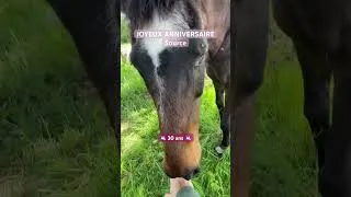 Miniature : #cheval #bienetrenaturel #communicationanimale