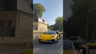 Miniature : Aventador SV roaster 💛#lamborghini #aventador #lamborghiniaventador #expensive #millionaire #luxury