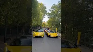 Miniature : Sunday morning 🤪 #ferrari #lamborghini #paris #cars #supercars #billionaire #expensive