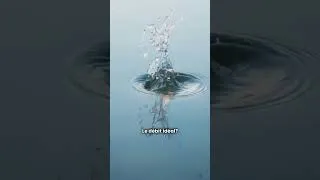 Miniature : Comment garder une eau limpide dans son bassin toute l’année ? Le secret UV enfin révélé ! #bassin