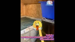 Miniature : Canicule : votre filtration de bassin de jardin chauffe à 36°C ! Faites ceci le soir !